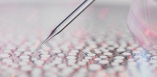 Descoperă abordarea noastră științifică unică, ecobiologia. 